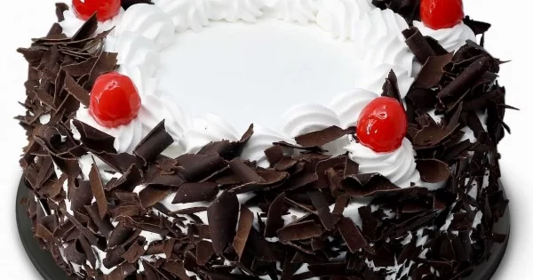 Cake Hut - #cakehut_in #ernakulam #cochin #edappally #varapuzha #kakkanad  #kaloor #kathrikadavu #thevara #palarivattom #cakehut | Facebook